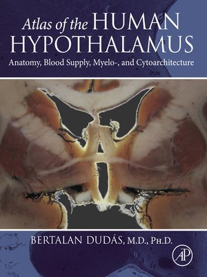 cover image of Atlas of the Human Hypothalamus